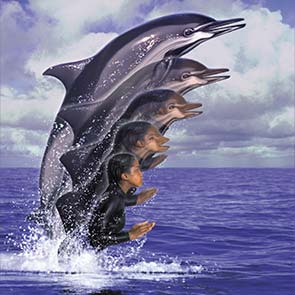 Animorphs, Cassie, K. A. Applegate, dolphin, fish, ocean, water, wet suit, splash,  morph, message, 4, Animorphs #4, The Message