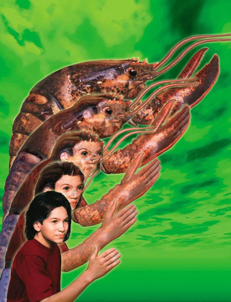 Cover art for a revised version of Animorphs #5: The Predator.