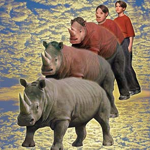 Animorphs, Jake, K. A. Applegate, rhino, rhinoceros, sky, shirt, morph, warning, Animorphs #16, The Warning
