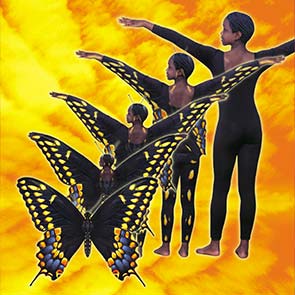 Animorphs, Cassie, K. A. Applegate, butterfly, fly, yellow, morph, departure, Animorphs #19, The Departure