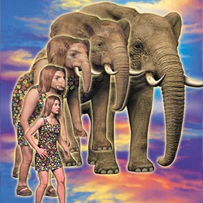 Animorphs, Rachel, K. A. Applegate, morph, elephant, trunk, tusk, journey, 42, Animorphs #42, The Journey
