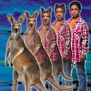 Animorphs, Cassie, K. A. Applegate, morph, kangaroo, Australia, jump, pouch, unexpected , Animorphs #44, 44, The Unexpected